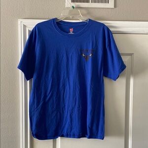 Hanes Men's Royal Blue Graphic Tee